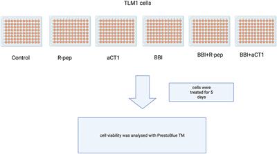 Effects of Alpha-Connexin Carboxyl-Terminal Peptide (aCT1) and Bowman-Birk Protease Inhibitor (BBI) on Canine Oral Mucosal Melanoma (OMM) Cells